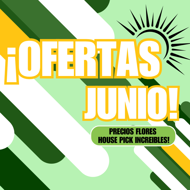 ofertas junio 800x800